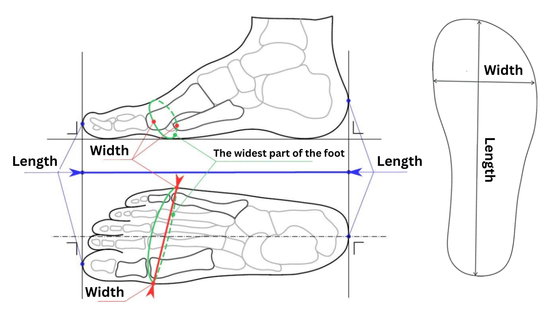 Grounded barefoot shoes mitochondriak